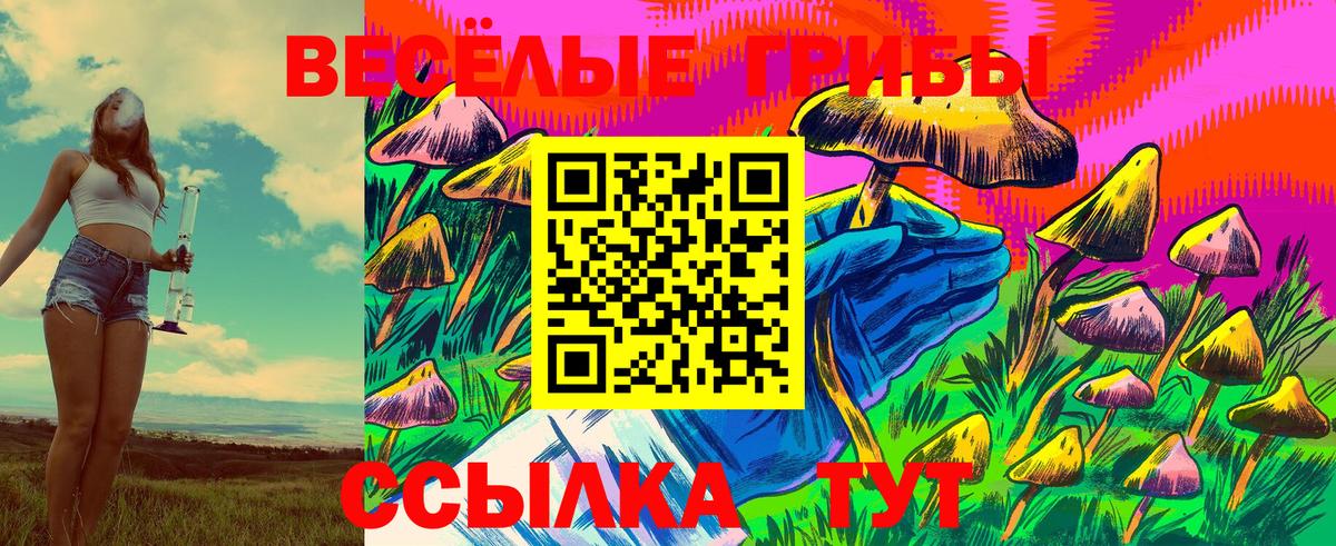 Псилоцибиновые грибы мухоморы  Вход с VPN  Чернушка 