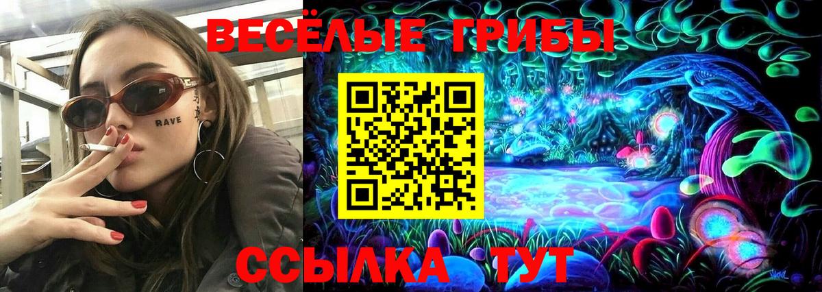 Галлюциногенные грибы мицелий Чернушка
